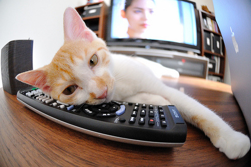 德甲转会热潮:多支豪门补强中场与锋线,2021-2022德甲转会