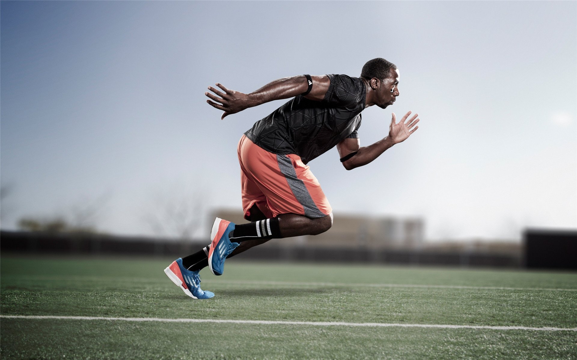 覃海洋稳中求快 争创佳绩,覃海洋个人资料