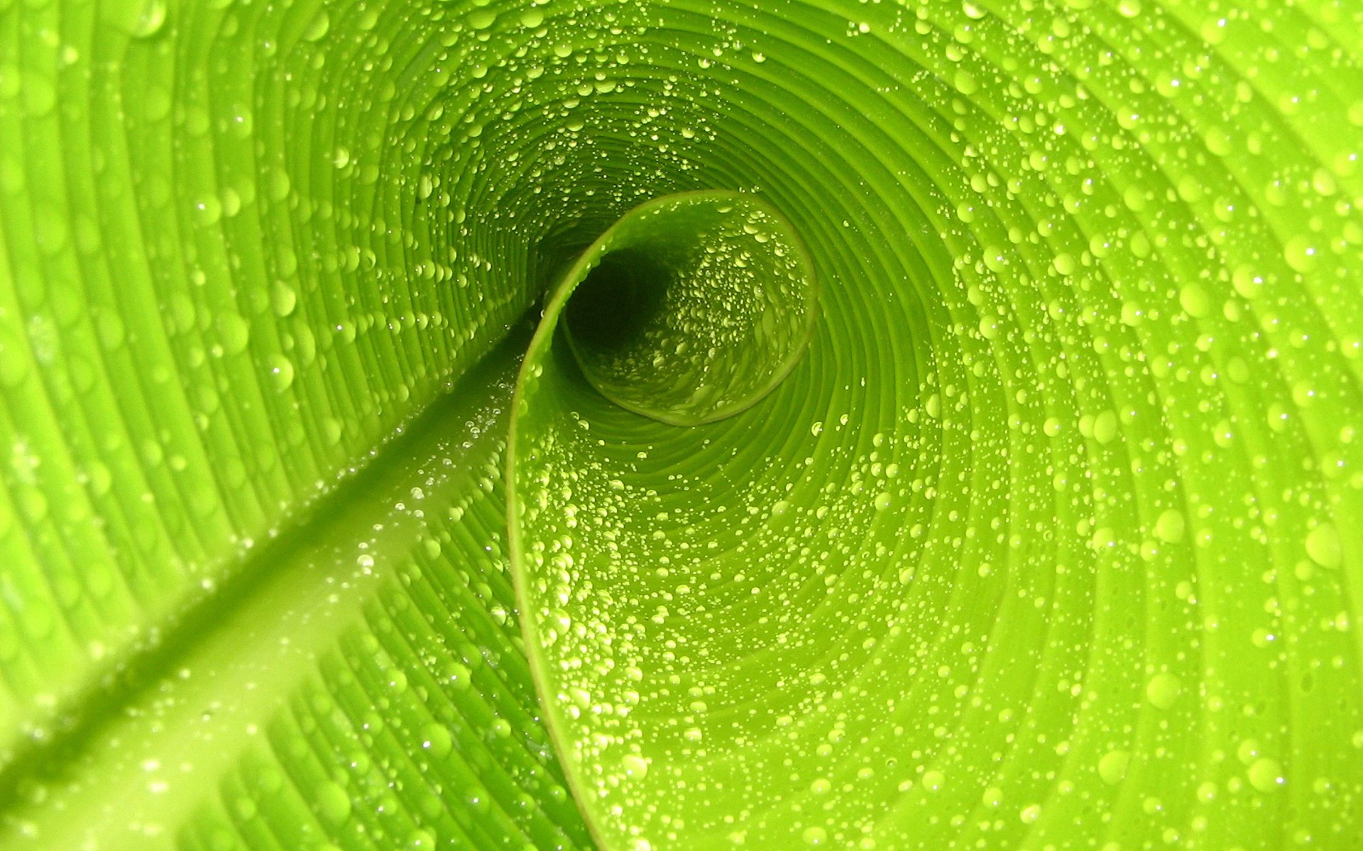 _环湖水上运动节：水域中的速度与激情_，环湖赛是哪一年开始举办的