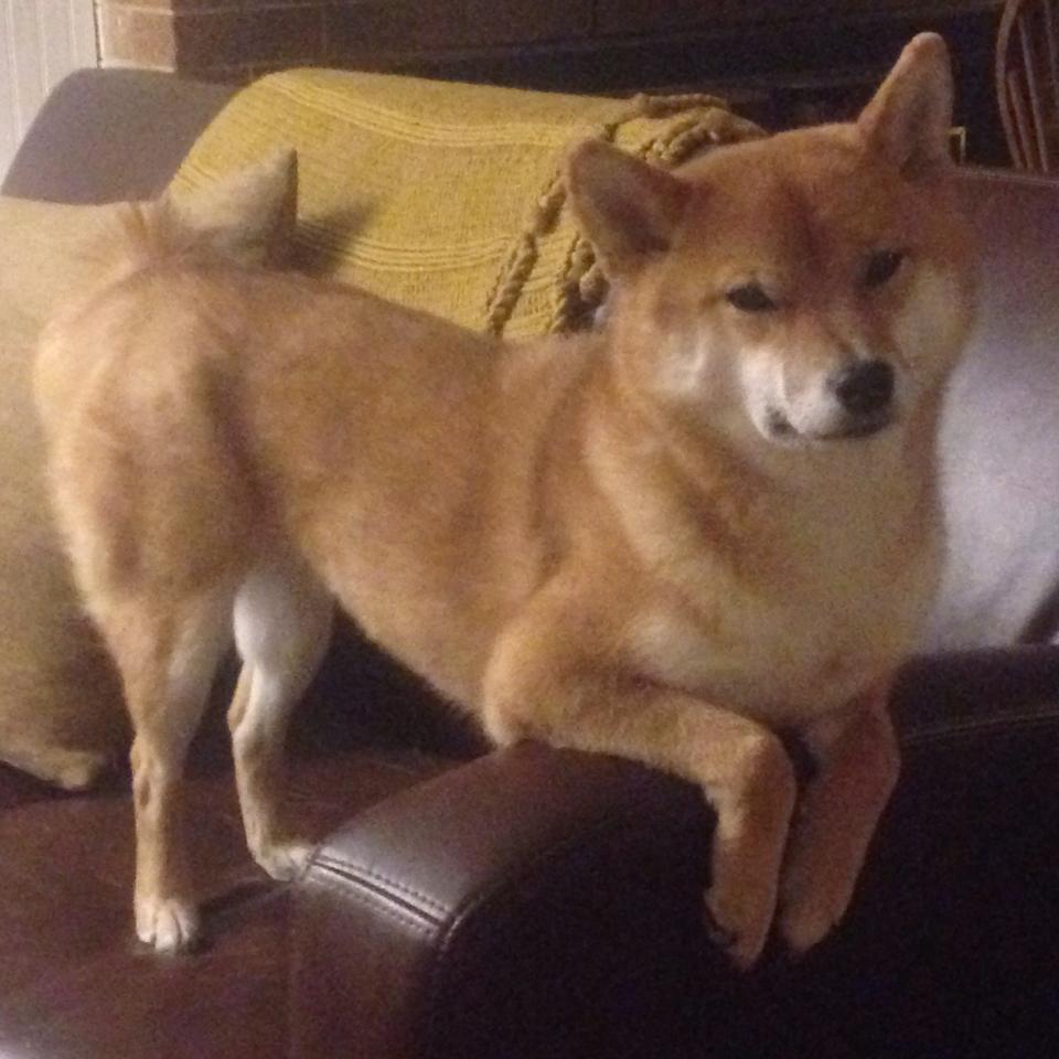 以球会友:足球公益赛事盛大举行,以球会友 以赛传情