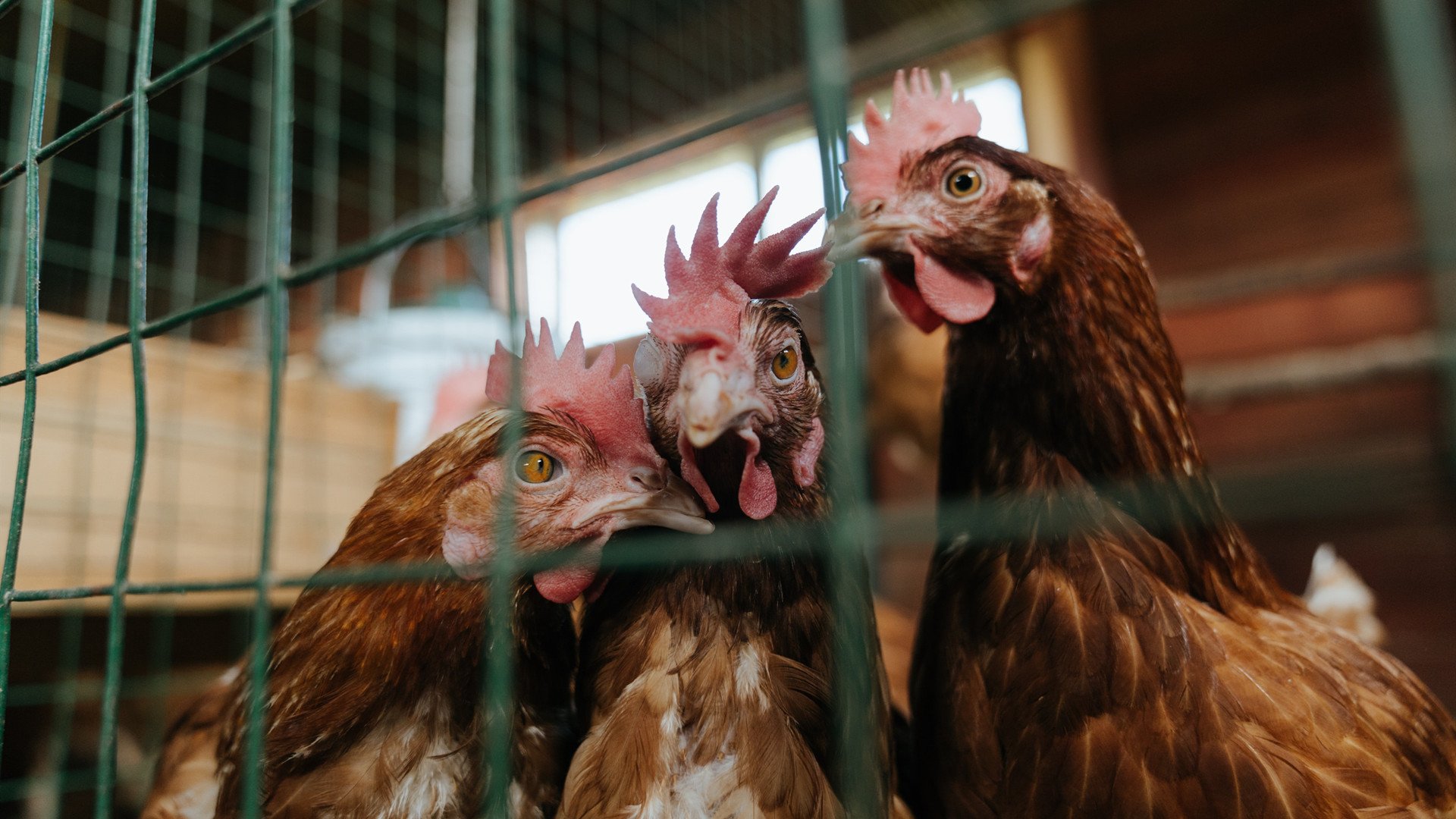 以球会友:足球公益赛事盛大举行,以球会友 以赛传情